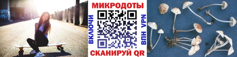 Псилоцибиновые грибы Cubensis  Купить где  Томилино 